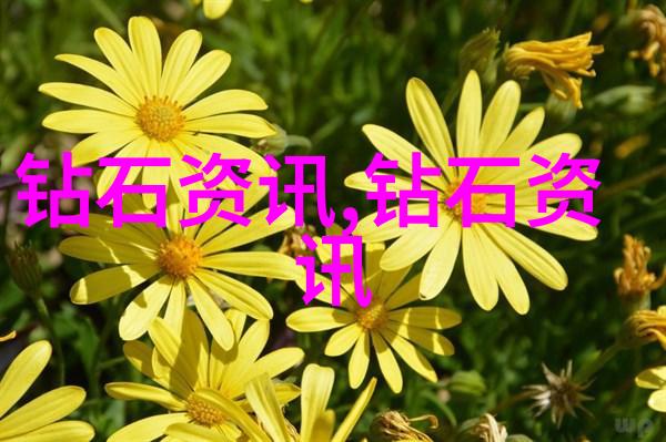 翡翠鉴赏指南揭秘真假的关键所在