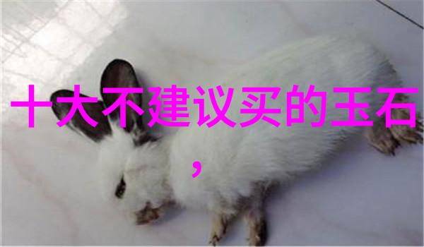 璀璨梦幻珠宝秀场之光与影