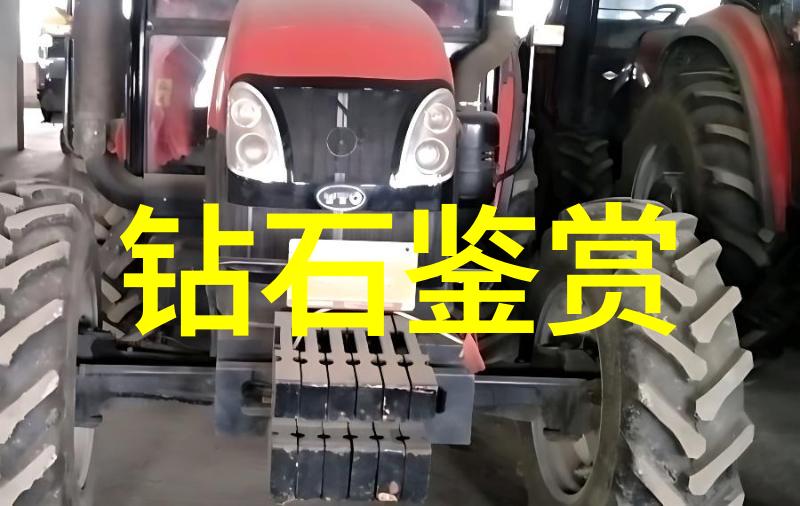 童话故事-睡前时光白雪公主的梦幻历险