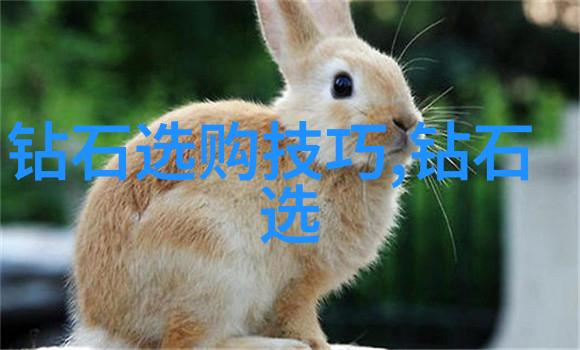 分辨玉手镯与翡翠手镯的技巧