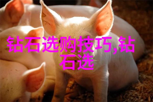 民族特色手工艺品制作我来教你如何在家里做一件独特的藏族手镯