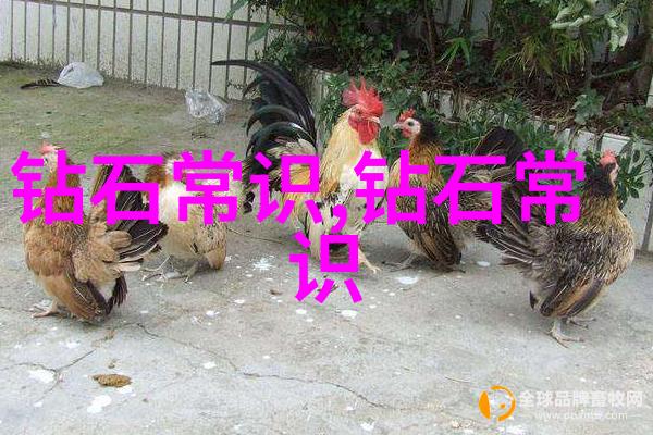 冬夜奇缘叶麟林皦雪的传奇之旅