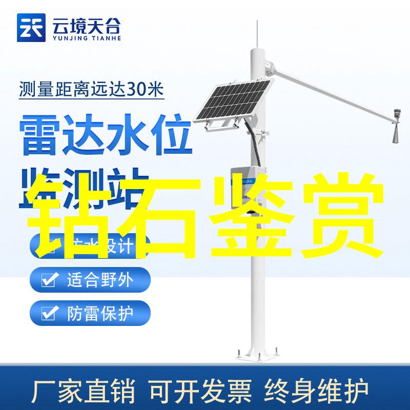 强势婚宠我的小王子如何让宠物成为家庭的焦点