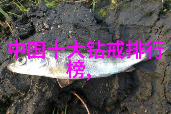 北京宝石鉴定大冒险从玉米换钻石的秘密之旅