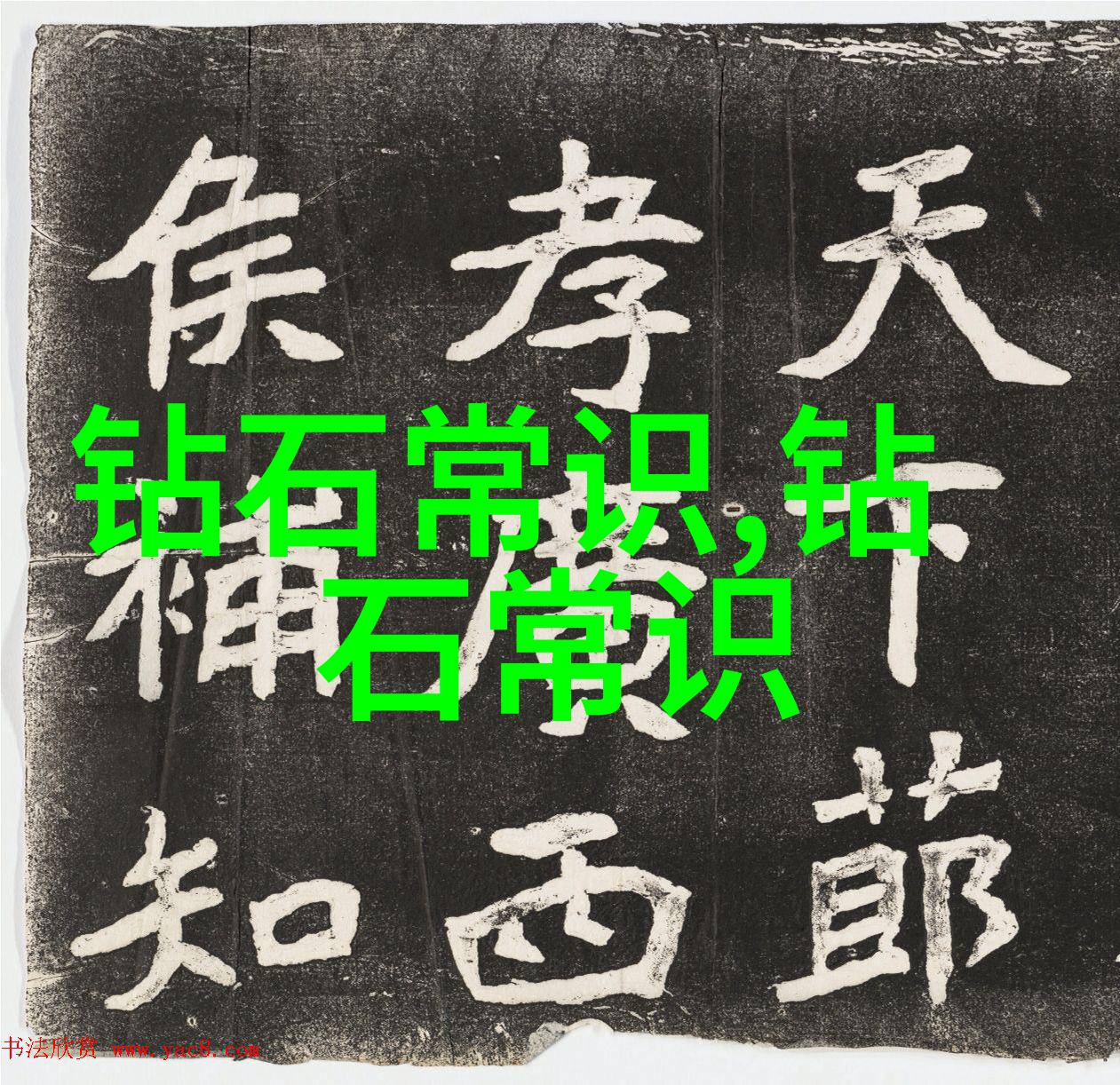 中华优秀传统文化探究深入剖析中国传统美德与艺术