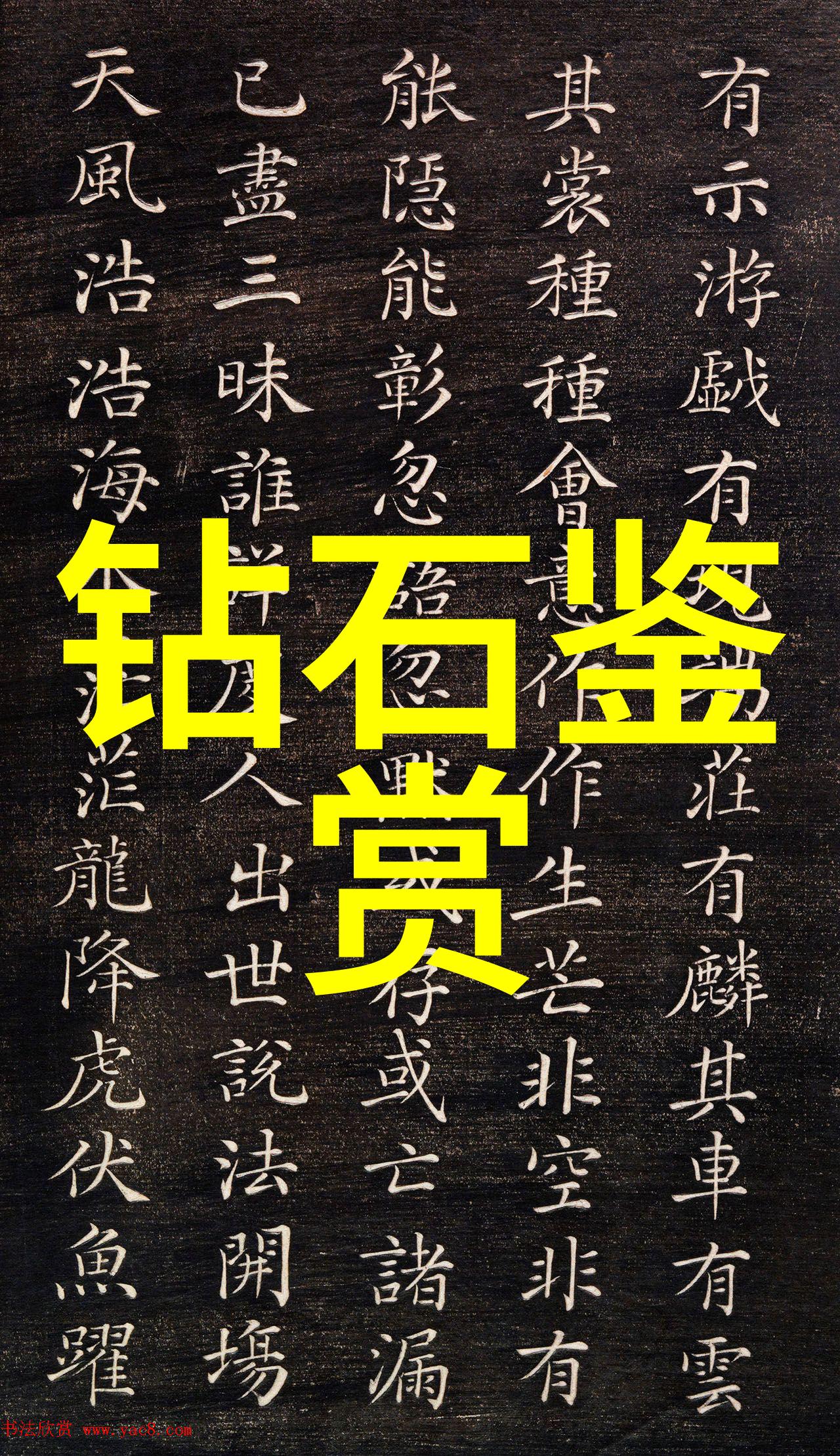 世界最大的珠宝公司我是如何在一家传奇珠宝帝国中发现梦想的