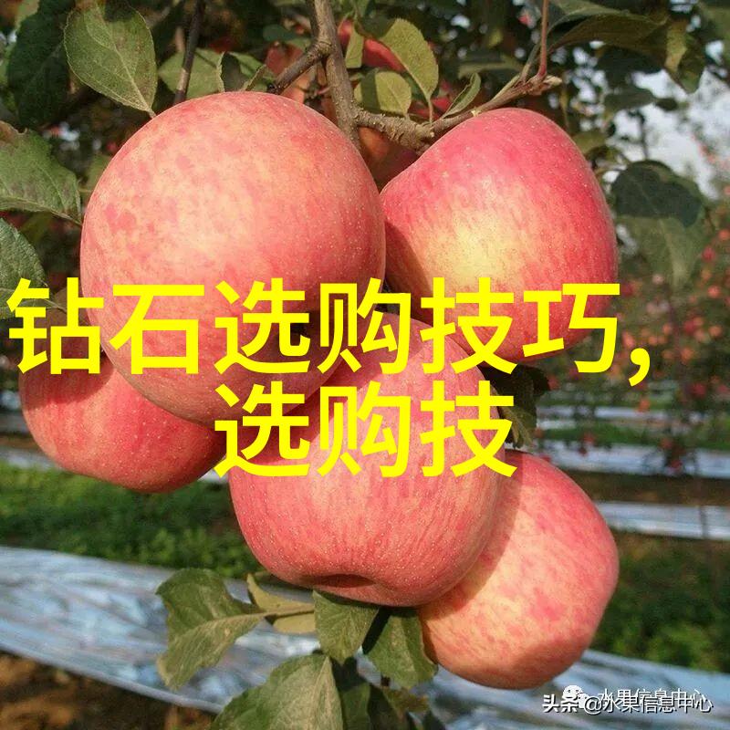 宝诗龙考古探究揭秘古代文化中的神话生物
