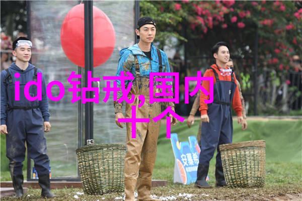世界十大钻石排名图片璀璨夺目的宝石殿堂