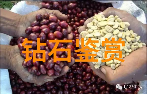 现代工艺品的魅力手工与技术的交响phony
