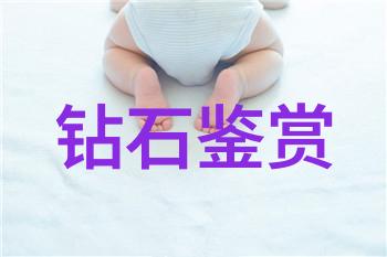 王子归来王二小荣获学术大奖的故事
