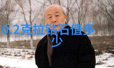 探索对外汉语专业文化桥梁与语言传承的双重使命