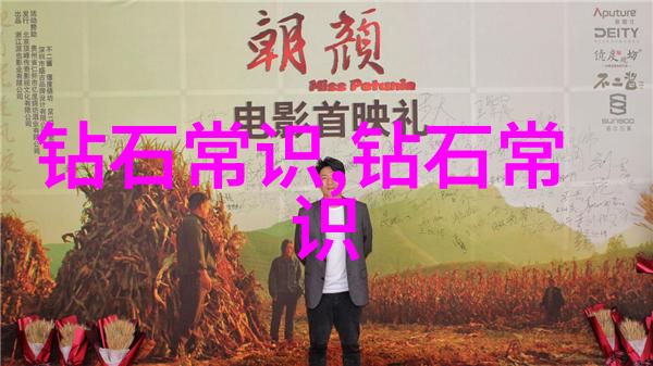 东方与西方文化交汇的辉煌篇章