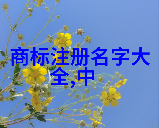 明日黄金今朝璀璨洞悉世人对八大钻石的心理需求