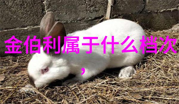翡翠雕刻艺术精湛技艺与传统工艺的结合