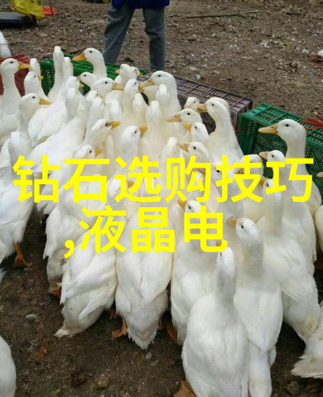 一头母猪我的肥皂箱里的不速之客