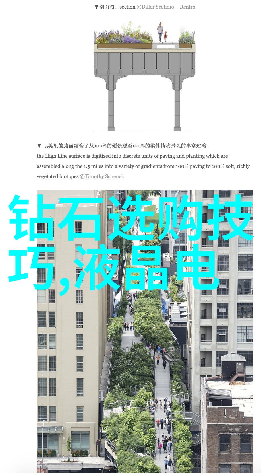 艺术与海岸厦门大学艺术学院的创意之旅