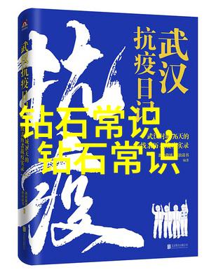 时间的裂缝守护者与沉默的森林