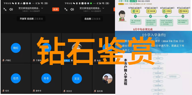 全球奢华宝石榜揭秘最昂贵的璀璨珍珠