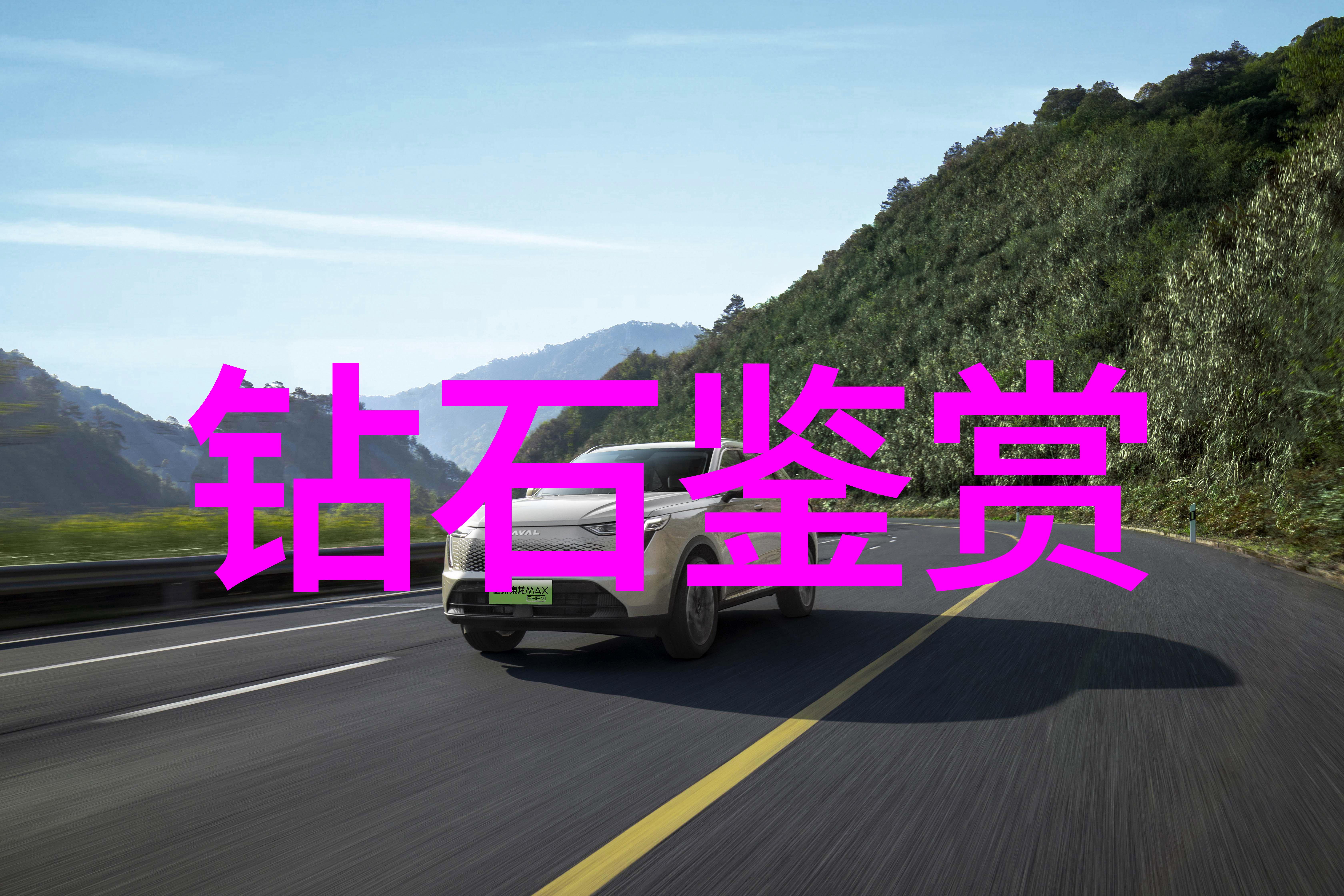 宝钗与树干的故事续写贾政的深意与家族命运