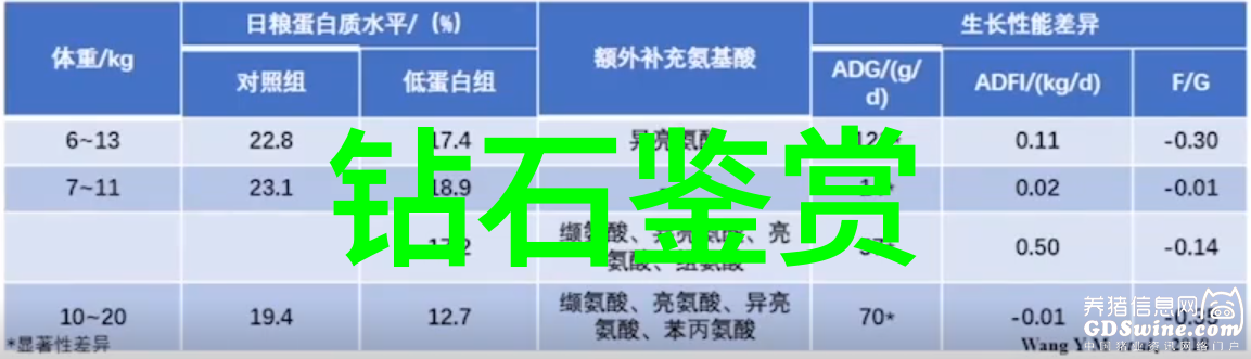 清廉之星笑傲校园的文明风尚