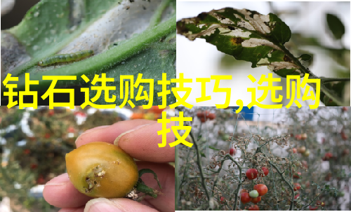 文化大冒险揭秘我们为什么会因为一顿饭而争论半天