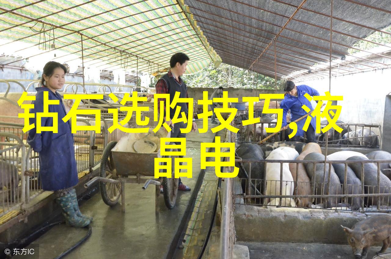 工艺指的是什么意思-揭秘工艺从传统到现代的创造艺术