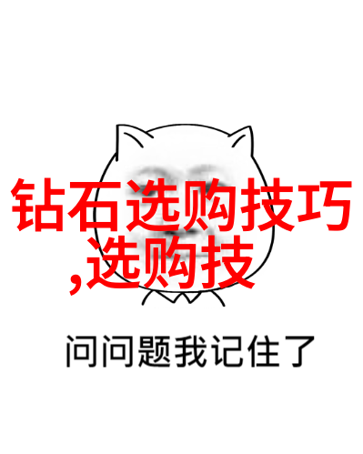 电视节目之星导播的光芒与魅力