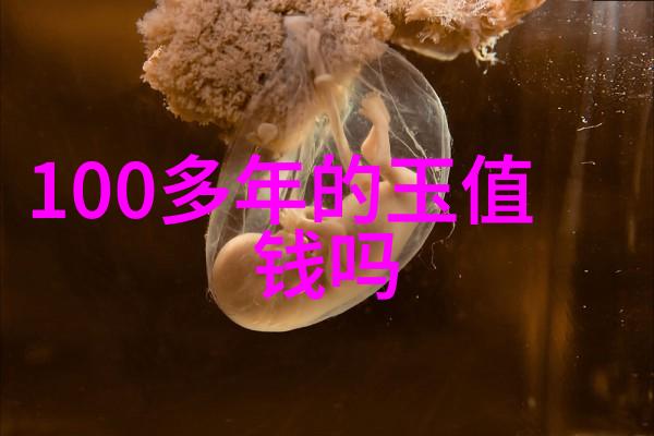 天然缅甸翡翠-碧绿生辉探秘天然缅甸翡翠的魅力与价值