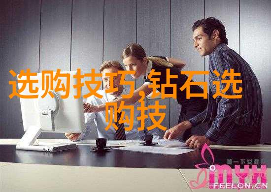 审计专业发展及其对会计实践的影响