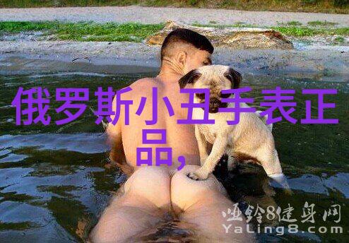 商海深处的智者工商管理硕士的精英之旅