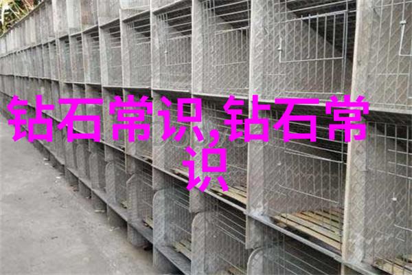 数字世界中的盲点信息素识别障碍的挑战与对策