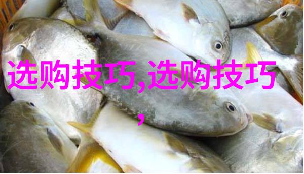 四房播播探索传统与现代的生活空间