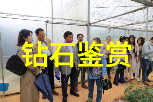 不为人知的故事时光之泪