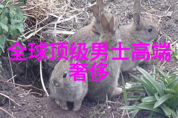 闪耀的梦幻宝石揭秘世界十大顶级光芒大师