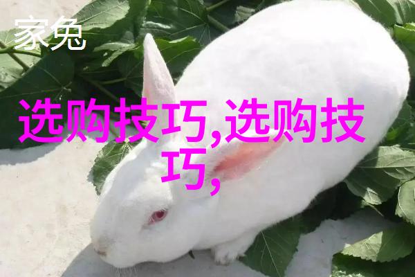 珠宝世界的精彩常见首饰类型简介