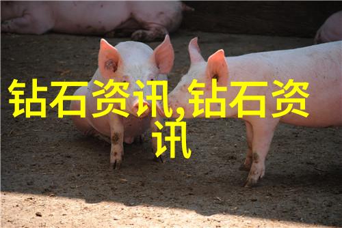 常见的首饰有哪些-珠宝世界常见首饰种类大揭秘