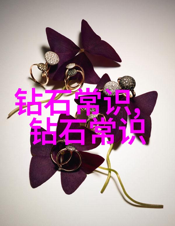 专业的力量卓越之师