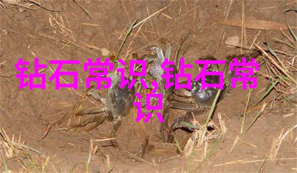 中国对外交往历史上最著名的贸易路线是哪一条