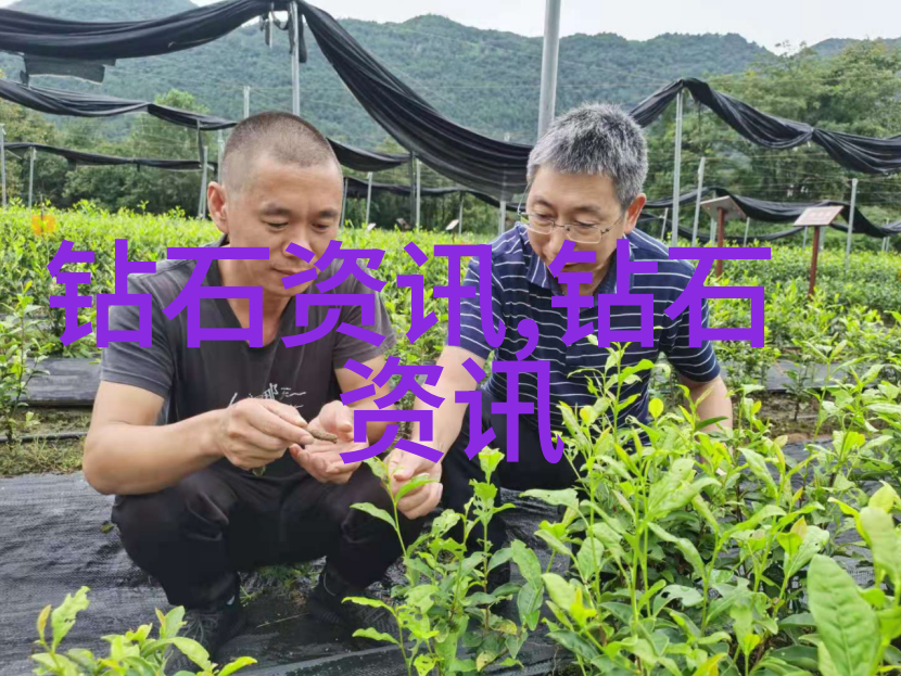 雷锋与小男孩一段不朽的友谊路程