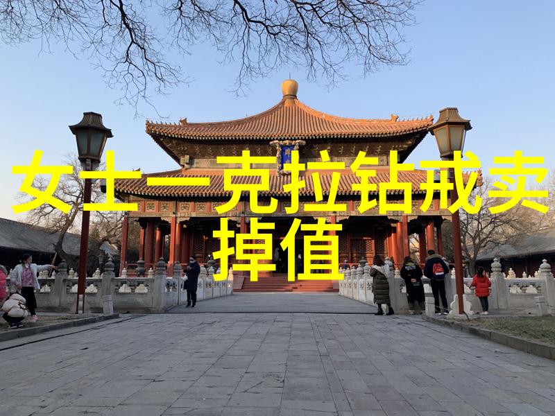 时光之弦一段生命的交响曲