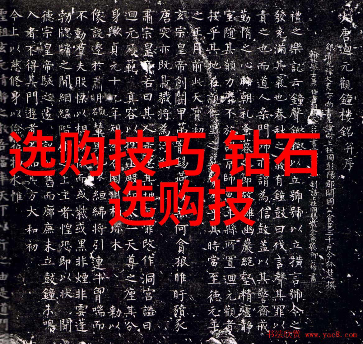公主殿下请当心-危机中的玉玺公主殿下的智慧之旅