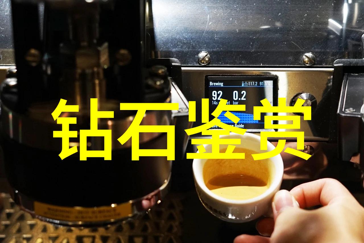 女朋友的梦境奇幻岛屿上的魔法王国