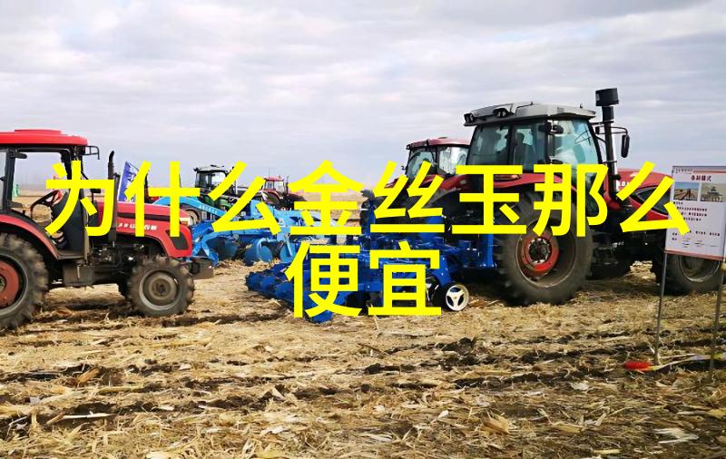 姜可小说全文免费阅读无弹窗笔趣我是姜可你想看我的小说吗