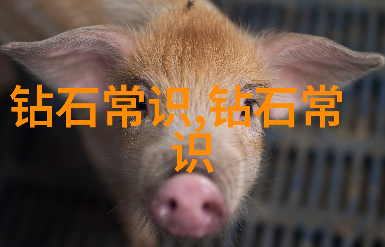 东方韵律西方旋律跨文化交响曲