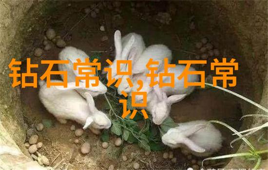 翡翠珍宝揭秘什么样的翡翠值钱