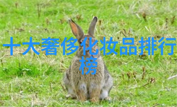 沉睡的传承我国40个非物质文化遗产的秘密