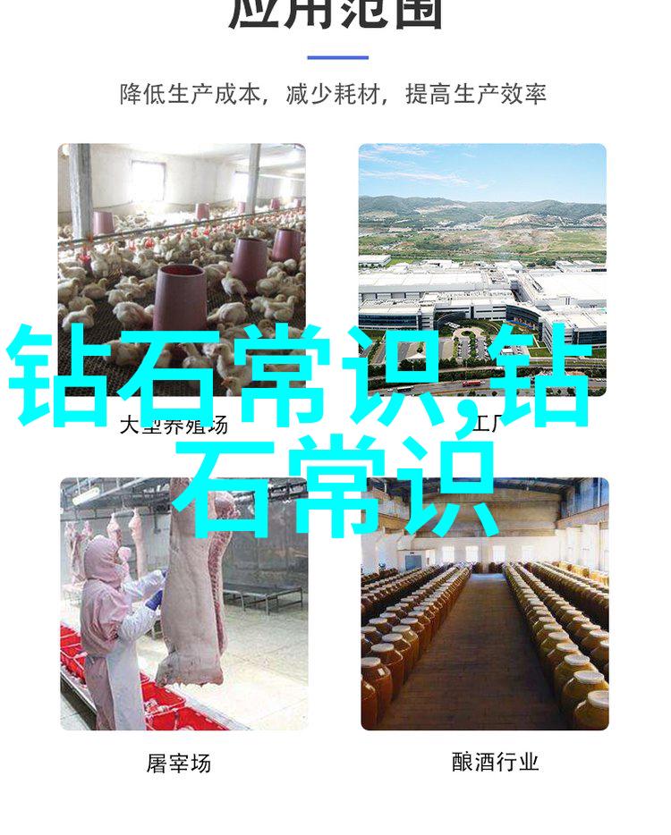 翡翠艺术探秘揭开宝石世界的绿意之谜