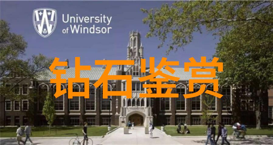 深度剖析审计学专业从理论到实践的精髓探索