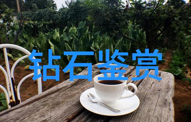工艺的奥秘解读创造与实践之间的纽带