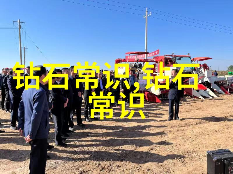 翡翠梦境中的秘密花园